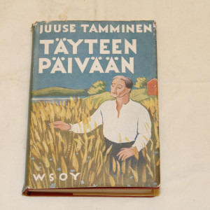 Juuse Tamminen Täyteen päivään